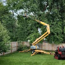 Best Palm Tree Trimming  in Rio Grande, NJ