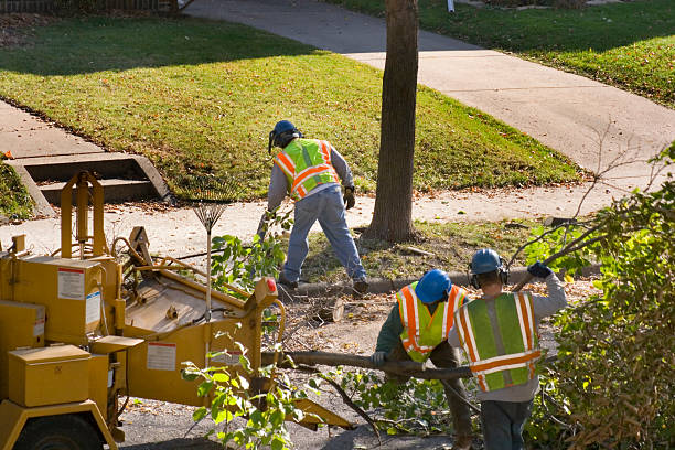 Best Lawn Pest Prevention  in Rio Grande, NJ